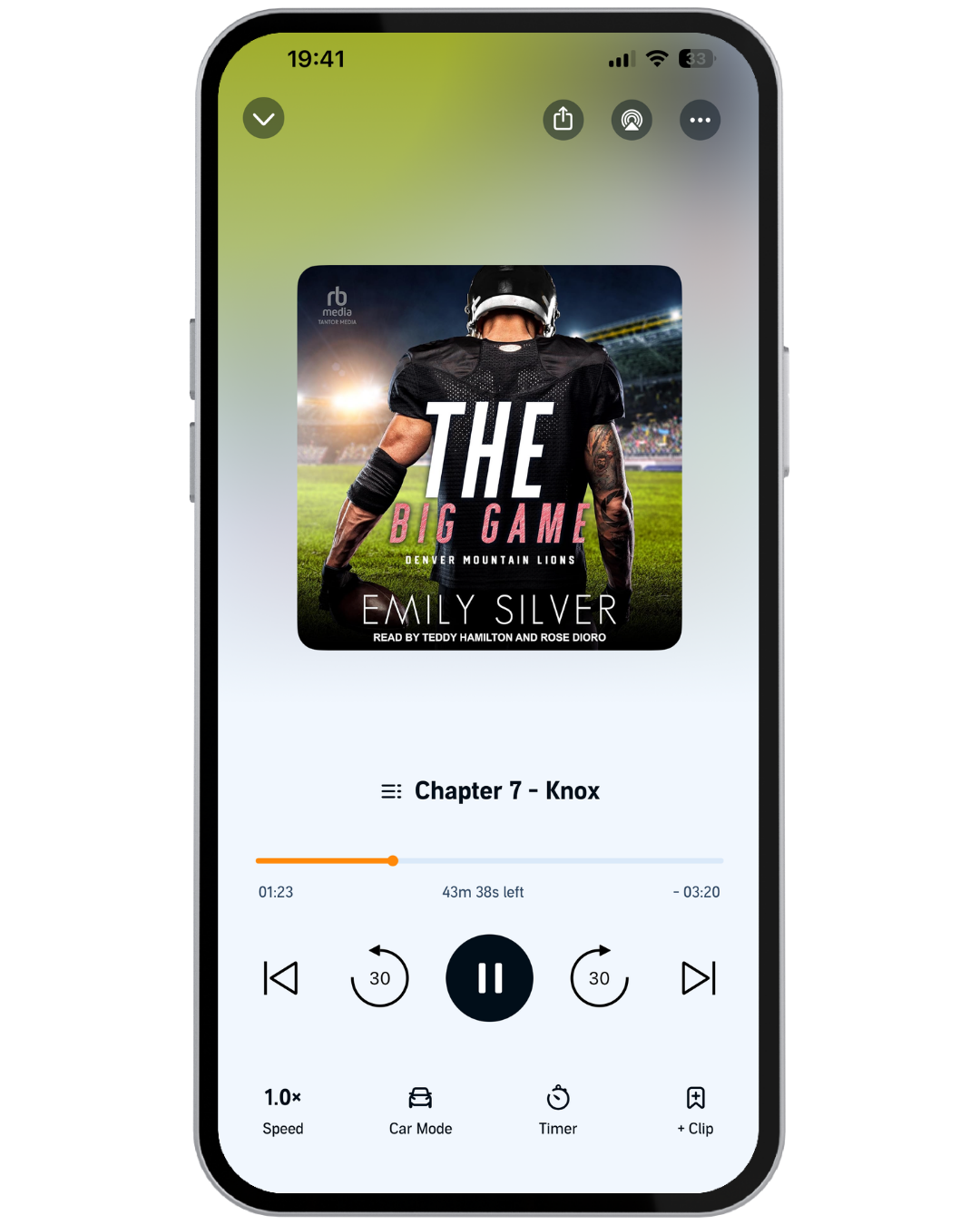 The Big Game Audiobook