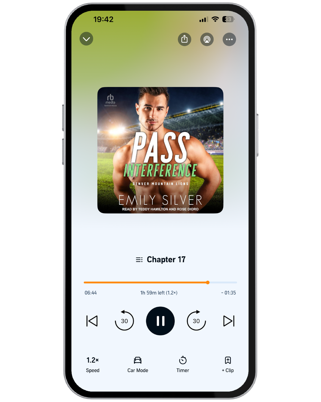 Pass Interference Audiobook